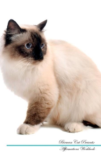 Birman Cat Affirmations Workbook Birman Cat Presents