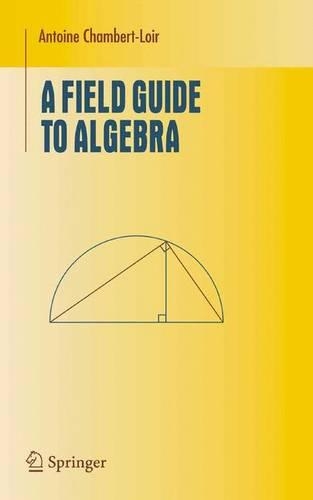 A Field Guide to Algebra: (Undergraduate Texts in Mathematics)