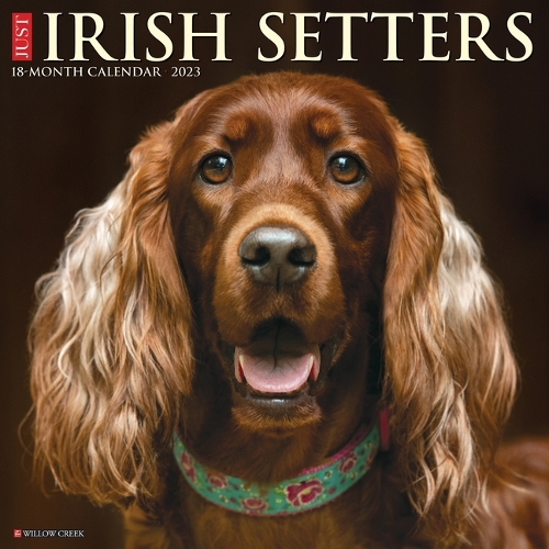 Just Irish Setters 2023 Wall Calendar