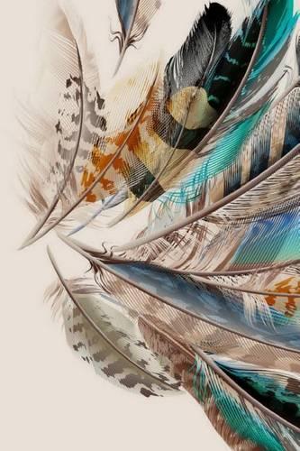 When Feathers Appear Angels Are Near: Feather Journal/Notebook/Diary(Feathers)