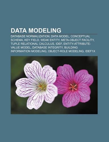 Data Modeling: Database Normalization, Data Model, Conceptual Schema, Key Field, Weak Entity, Meta-Object Facility, Tuple Relational