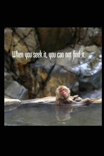 When You Seek It, You Can Not Find It: Japanese Snow Monkey 6x9 Inch Lined Journal/Notebook - A Beautifully Photographed Snow Monkey in Japan