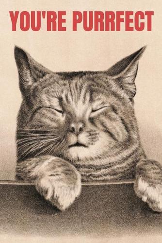 You're purrfect: Valentine's Day Gift - Blush Notebook in a cute Design - 6" x 9" (15.24 x 22.86 cm)