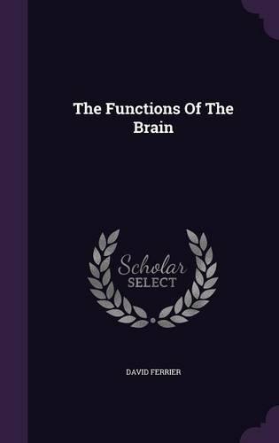 The Functions Of The Brain