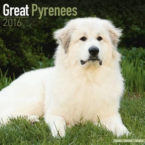 Great Pyreness Calendar 2016