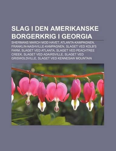 Slag I Den Amerikanske Borgerkrig I Georgia: Shermans March Mod Havet, Atlanta-Kampagnen, Franklin-Nashville-Kampagnen, Slaget Ved Kolb's Farm