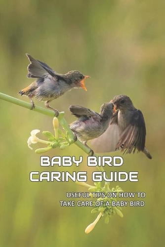 Baby Bird Caring Guide: Useful Tips On How To Take Care Of A Baby Bird: What To Feed A Baby Bird For The Best Nutrition