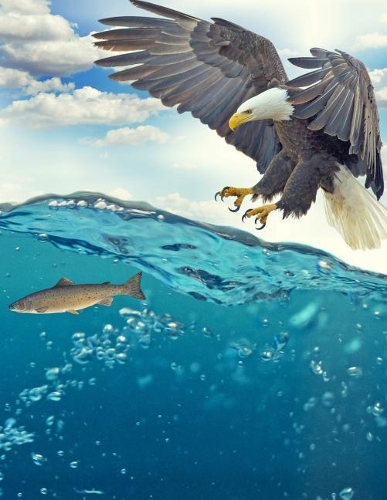 Eagle Notebook: 8.5 X 11 202 College Ruled Pages