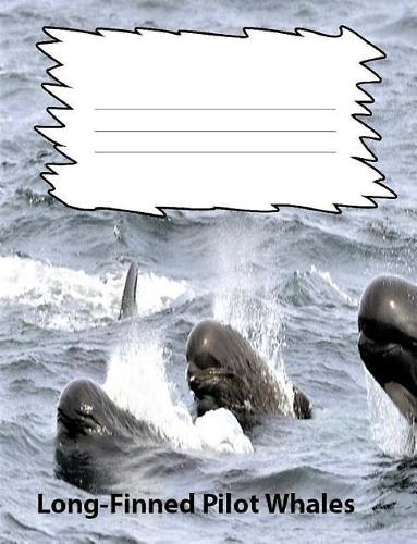 Long-Finned Pilot Whales College Ruled Line Paper Composition Book: Whale fans, college notebooks, Teen journals, Adult notebooks, Middle School Students