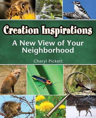 Creation Inspirations