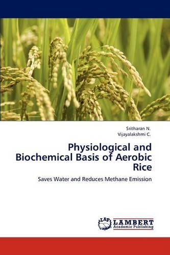 Physiological and Biochemical Basis of Aerobic Rice