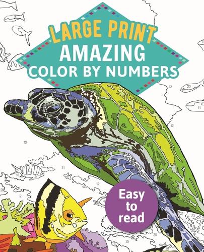 Amazing Color by Numbers Large Print: (1 Sirius Large Print Color by Numbers Collection)