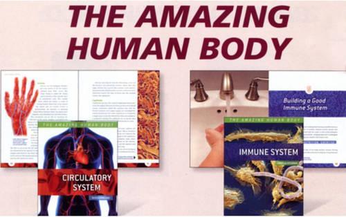 The Amazing Human Body (Group 1)