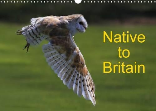 Native to Britain 2017: A Calendar with a Collection of Delightful Images of the Native Wildlife Residents of the British Isles.(Calvendo Animals)