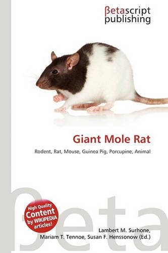 Giant Mole Rat