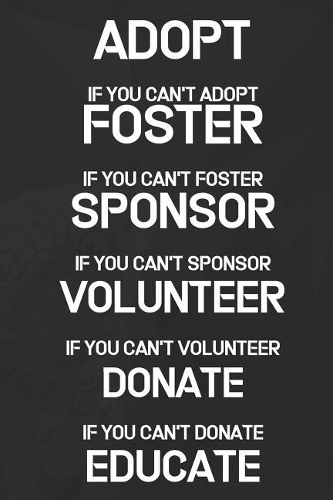 Adopt If You Can't Adopt Foster If You Can't Foster Sponsor If You Can't Sponsor Volunteer If You Can't Volunteer Donate If You Can't Donate Educate