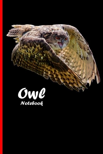 Owl Notebook: Beautiful notebook with bird motive. 6"x9" inch(7 Birds)