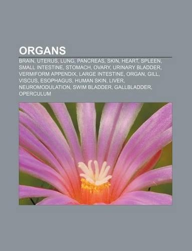 Organs: Brain, Uterus, Lung, Pancreas, Skin, Heart, Spleen, Small Intestine, Stomach, Ovary, Urinary Bladder, Vermiform Appendix