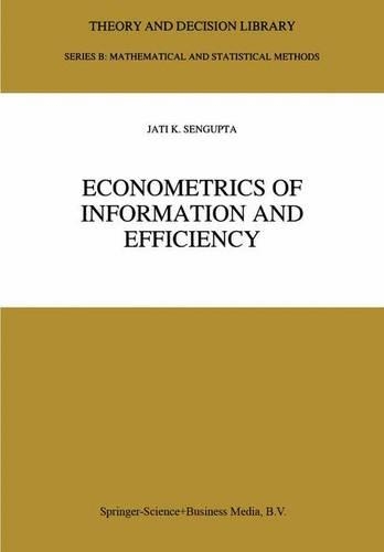Econometrics of Information and Efficiency: (25 Theory and Decision Library B)