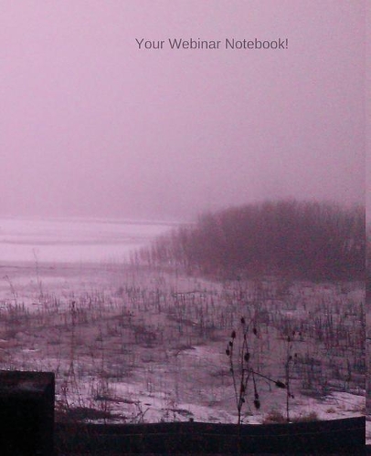 Your Webinar Notebook!: The Perfect Webinar Journal(Your Webinar Notebook!)