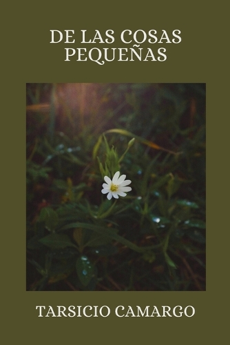 de Las Cosas Pequeñas