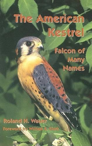 The American Kestrel: Falcon of Many Names