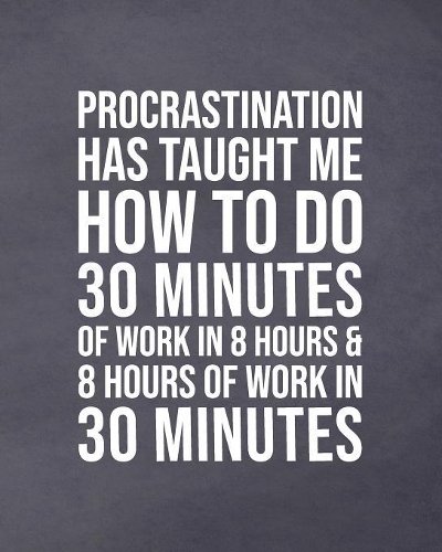 Procrastination Has Taught Me How To Do 30 Minutes Of Work In 8 Hours & 8 Hours Of Work In 30 Minutes: 2019-2020 Academic Planner With Daily, Weekly and Monthly Calendar July - June