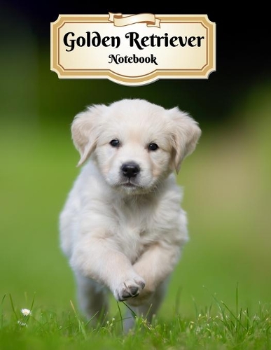 Golden Retriever Notebook: Puppy - Composition Book 150 pages 8.5 x 11 in. - College Ruled - Writing Notebook - Lined Paper - Soft Cover - Plain Journal