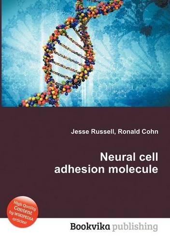 Neural Cell Adhesion Molecule