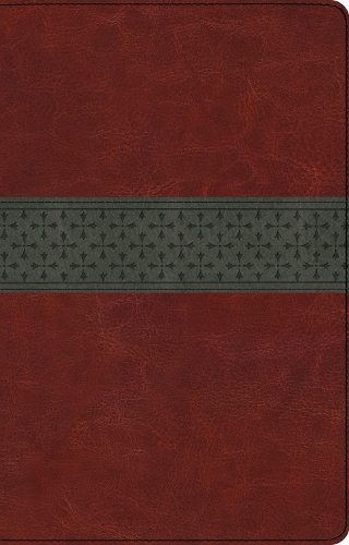 ESV Large Print Thinline Reference Bible