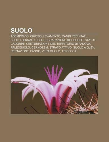 Suolo: Ademprivio, Criosollevamento, Campi Recintati, Suolo Ferrallitico, Degradazione del Suolo, Statuti Cadorini