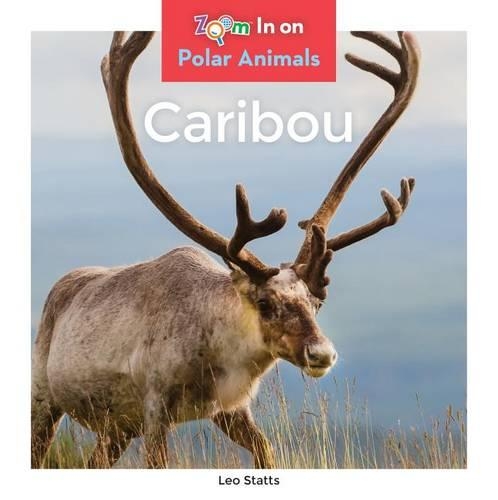 Caribou: (Polar Animals)