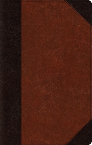 ESV Large Print Thinline Reference Bible