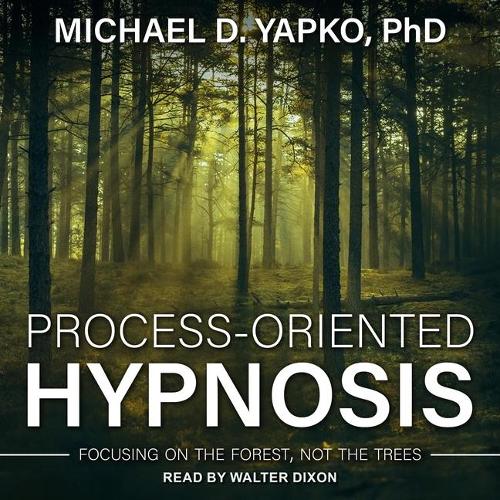 Process-Oriented Hypnosis: Focusing on the Forest, Not the Trees
