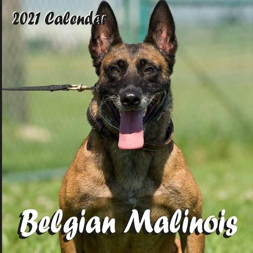 Belgian Malinois 2021 Calendar: Belgian Malinois 2021 Mini Wall Calendar 16 Months