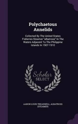 Polychaetous Annelids