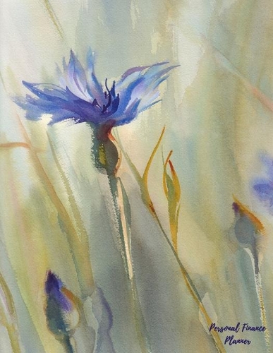 Personal Finance Planner