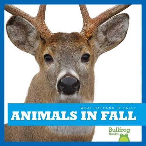 Animals in Fall: (What Happens in Fall?)