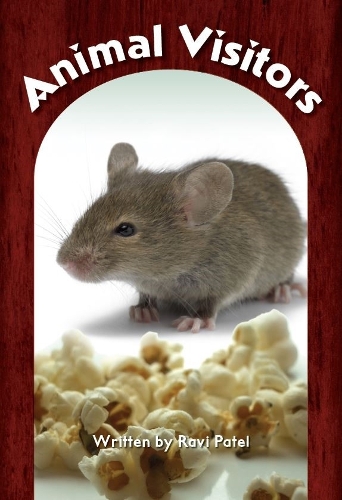 Animal Visitors: (New Heights)