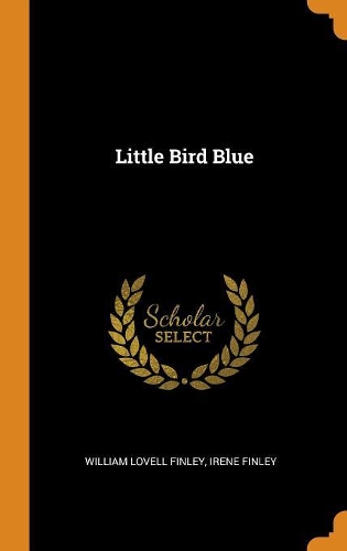 Little Bird Blue