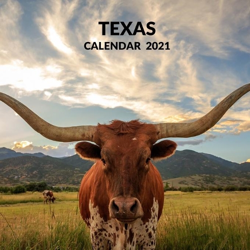 Texas Calendar 2021: January 2021 - December 2021 Square Photo Book Monthly Planner Calendar Present Texas Lover Gift Idea For Men & Women