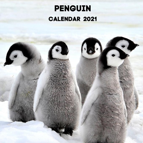 Penguin Calendar 2021: January 2021 - December 2021 Square Photo Book Monthly Planner Calendar Gift For Penguin Lover - Penguin Mom or Dad Present Idea For Men & Women