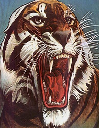 Tiger Notebook