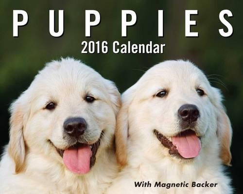 2016 Puppies MDTD