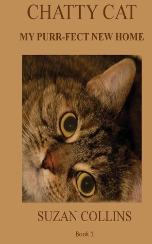 Chatty Cat: The First Six Months