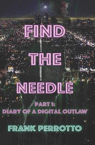 Find the Needle, Part One: Diary of a Digital Outlaw(1 Find the Needle)
