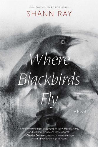 Where Blackbirds Fly