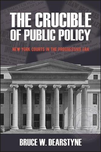 The Crucible of Public Policy: New York Courts in the Progressive Era(Excelsior Editions)
