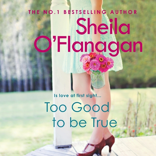 Too Good To Be True: Is it love at first sight? Or is she making a terrible mistake?
