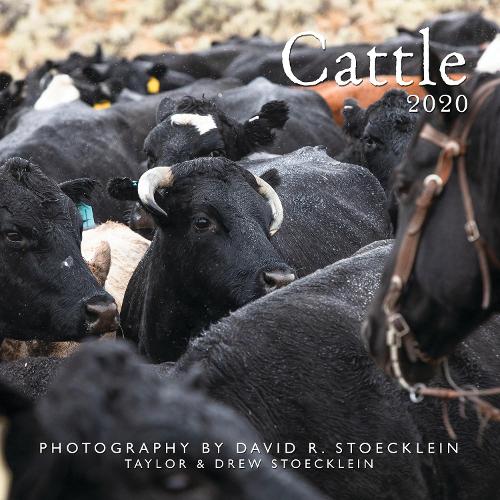 2020 Cattle Calendar